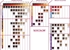 media.product.imagealternatetextformat.details